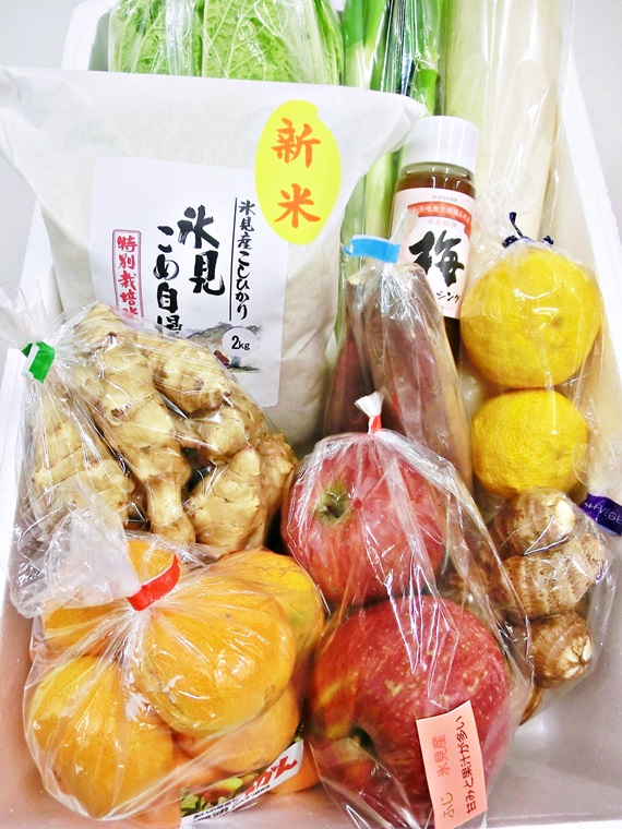 おまかせの新鮮野菜 おまかせの新鮮野菜