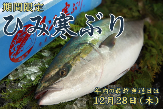 期間限定 ひみ寒ぶり ご注文受付中 2023年・年内の最終発送日は12月28日（木）