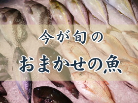 今が旬のおまかせの魚