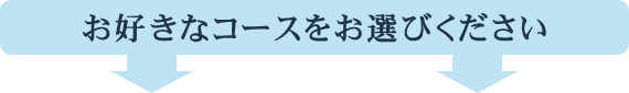 お好きなコースをお選びください お好きなコースをお選びください