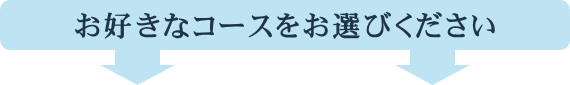 お好きなコースをお選びください