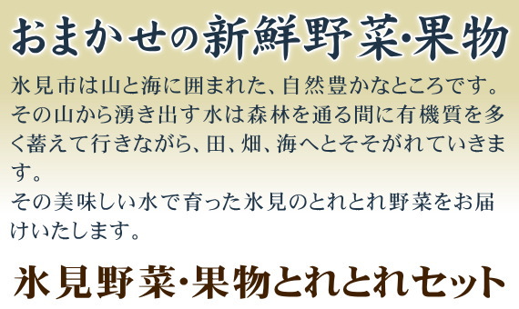 おまかせの新鮮野菜