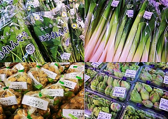 おまかせの新鮮野菜