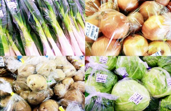 おまかせの新鮮野菜