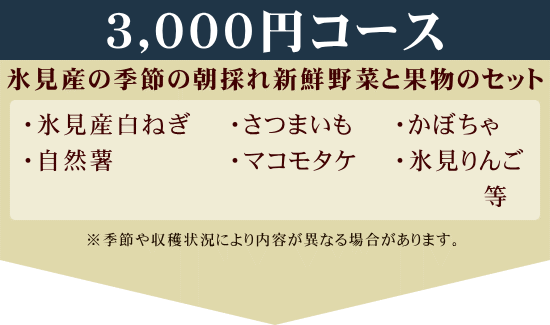 3000円コース