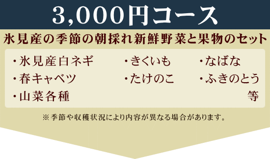 3000円コース