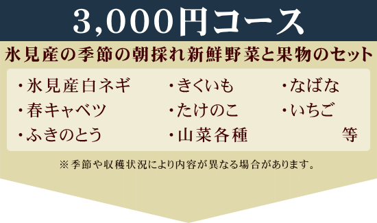 3000円コース