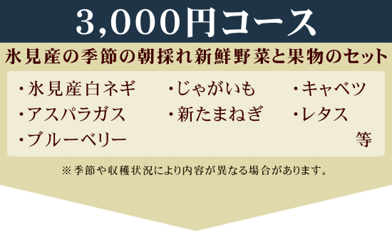 3000円コース