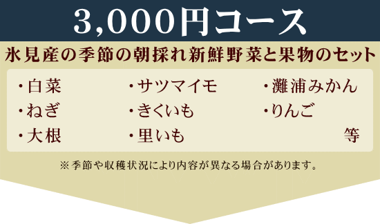 3000円コース