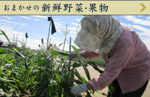 おまかせの新鮮野菜