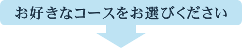 お好きなコースをお選びください