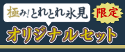 極み！とれとれ氷見 オリジナルセット