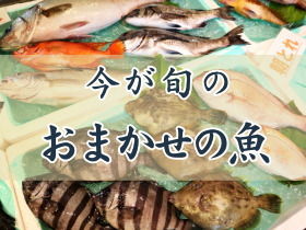 今が旬のおまかせの魚