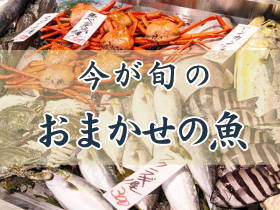 今が旬のおまかせの魚