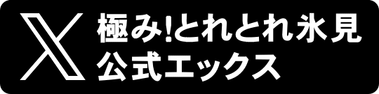 極み！とれとれ氷見 公式X